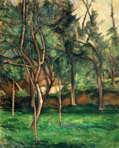 Orchard