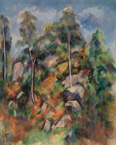 Rocks and Trees