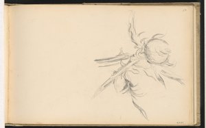Thistle by Paul Cézanne