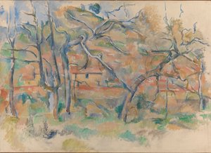 Trees and Houses, Provence