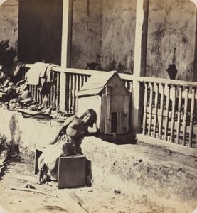 Garvel Dog (Martinique) by Paul Emile Miot