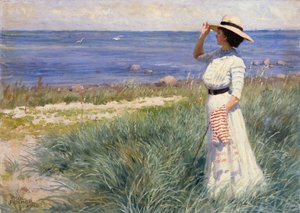 Looking out to Sea