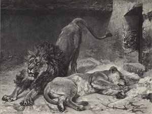 The Lion