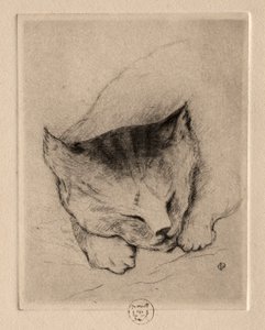 Six Etchings: Head of a Kitten by Paul Gachet