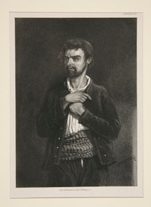 The Commissioner