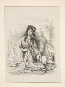 The Odalisque