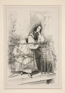 She Waits