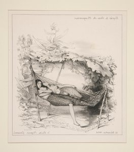 The Hammock
