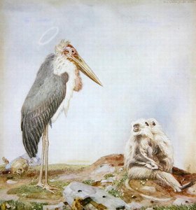 Holy Marabou by Paul Grabwinkler
