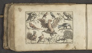 Bird of Prey, Nine Other Birds and a Bat by Paul Göttich