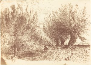 Banks of a River