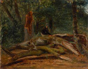 In the Forest of Villers-Cotterêts