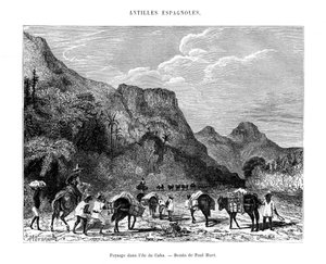 Landscape in the island of Cuba