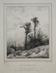 Landscapes: Young Elm Trees