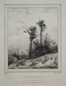 Landscapes: Young Elm Trees