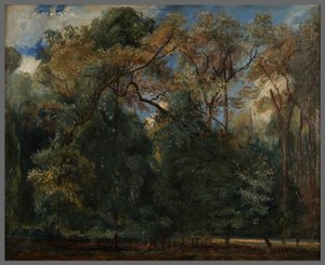 The Elms of Saint-Cloud