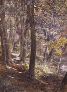 A Woodland Glade by Paul Jacob Naftel