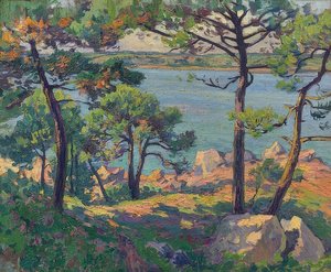 Pines on the Trieux River