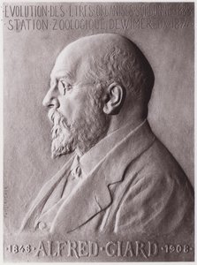 Alfred Giard (1846-1908), Zoologist, Portrait by Paul Marie Louis Pierre Richer