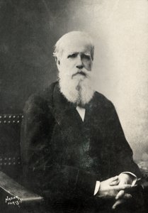 Portrait of Dom Pedro, Emperor of Brazil by Paul Nadar