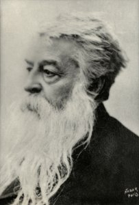 Portrait of Ernest Messonnier