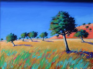 Almond Trees