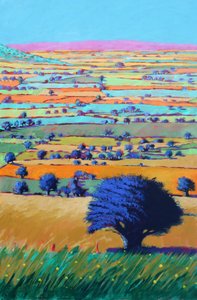Cotswold Way, 2021