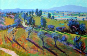Crickley Hill Spring