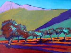 Olive Trees