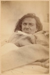 Hysterical epilepsy, hallucinations, repugnance, plate XXXV from 