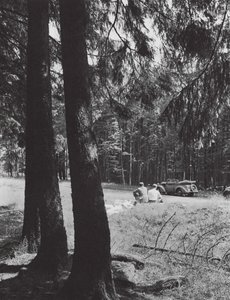 A Rest in a Forest, Bavaria