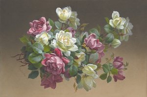 Flowers: Roses