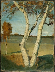 Two-Stemmed Birch in Landscape