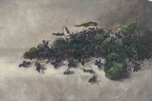 Violets
