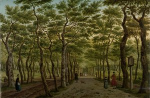 The Herepad in the Haagse Bos