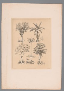 Five Types of Crops and a Snake