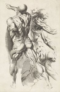 Anatomical Study of Three Figures with Outstretched Arms
