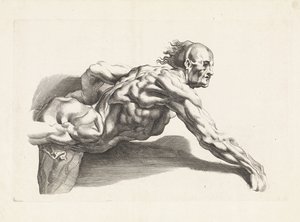 Anatomical Study of a Man Leaning Forward