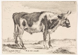 Spotted Ox (series title: Oxen and Cows) by Paulus Potter (rejected attribution)