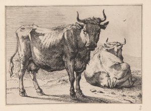 A Cow Standing and Another Lying Down, from Various Oxen and Cows by Paulus Potter