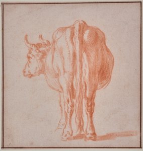 Cow by Paulus Potter