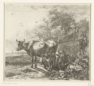The Herdsman by Paulus Potter