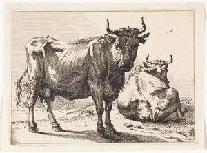 A Standing and a Lying Cow (The Bull Booklet) by Paulus Potter
