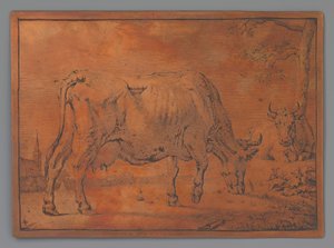 Grazing Cow