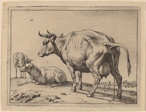 Pissing Cow