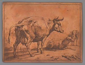 Peeing Cow and Two Sheep