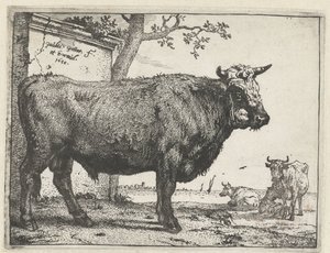 Bull (The Bull Book)