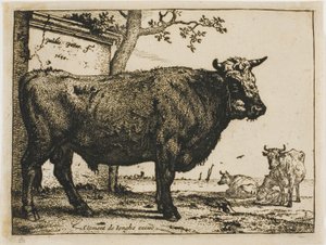 The Bull