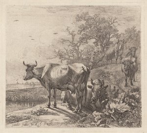 The Cowherd by Paulus Potter