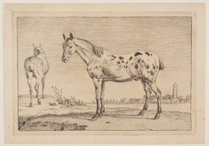 The Neighing Horse, from Series of Horses by Paulus Potter